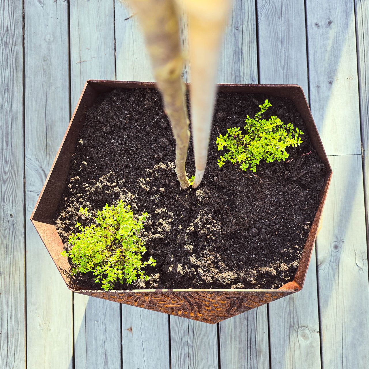 VESSL 3 - kruka i Cortenstål